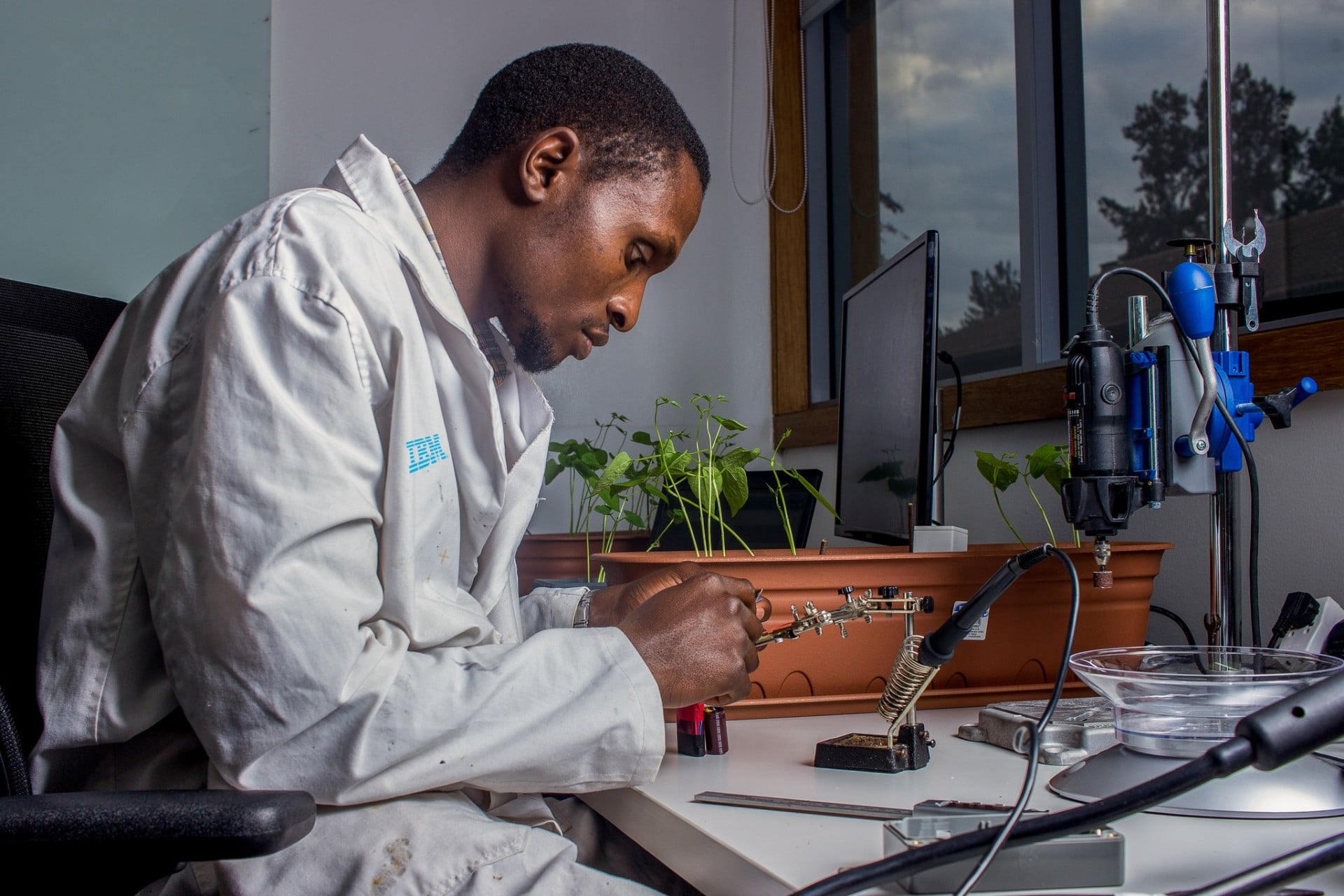 production of biodiesel from jatropha plant