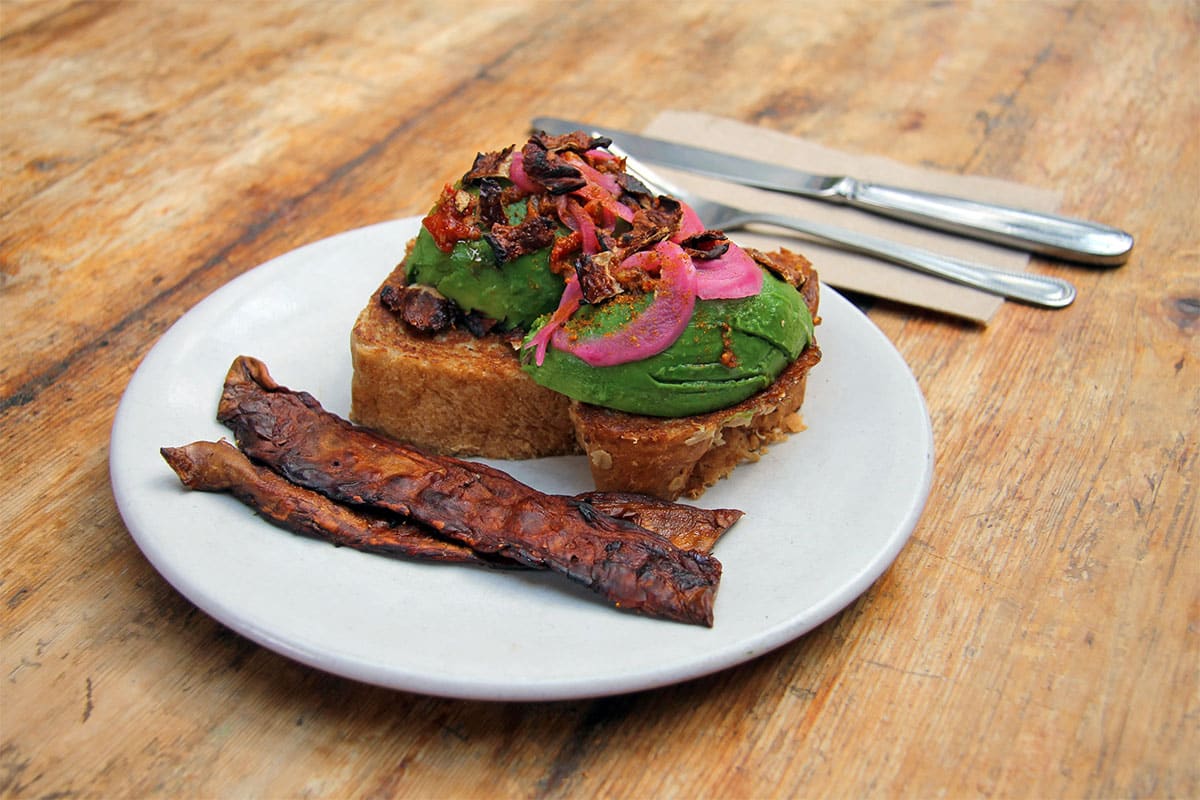 Ecovative Design Atlas of the Future — Atlas of the Future