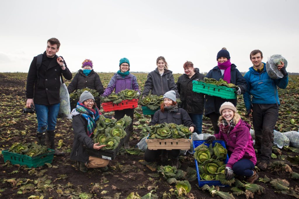 gleaning