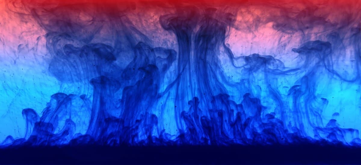 pili bio - atlas of the future — atlas of the future