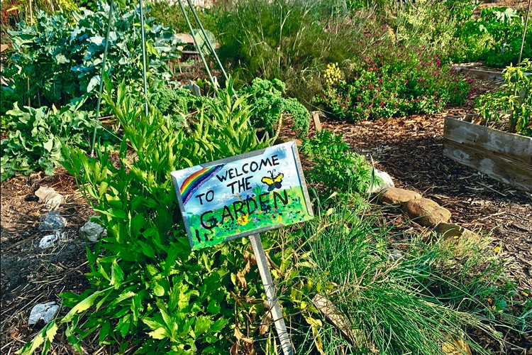 LA Green Grounds teaching garden in South Los Angeles