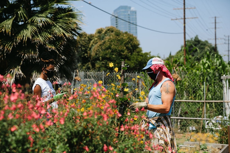 La Green Grounds volunteers garden alongside the community