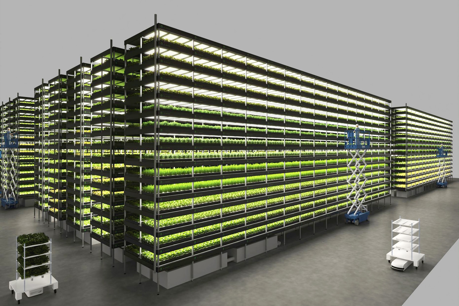 Nordic Harvest Is Europes Largest Vertical Farm The Future Is Vertical — Atlas Of The Future