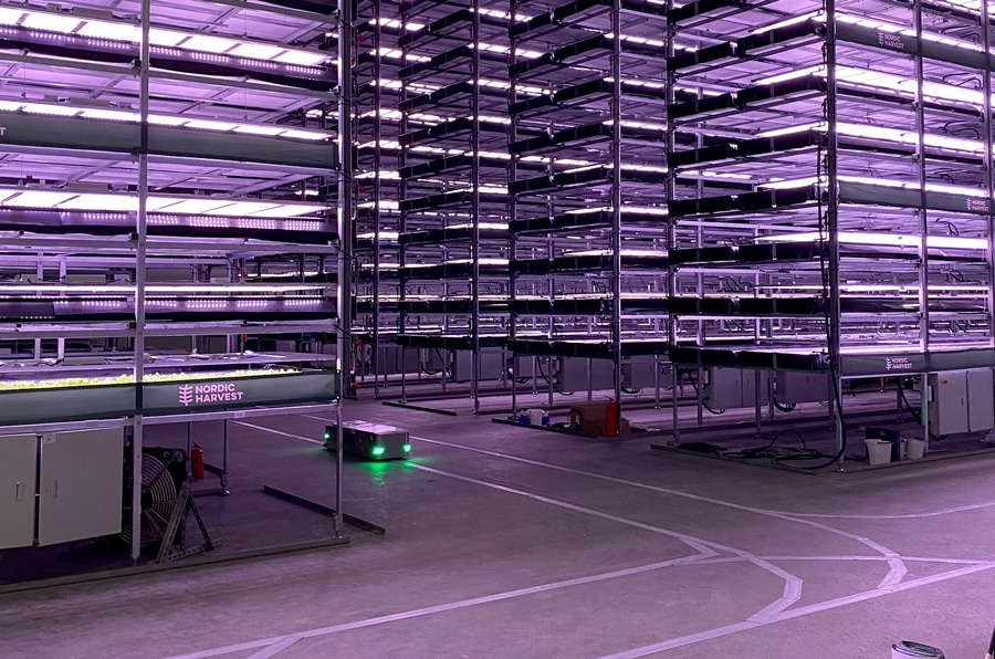 Nordic Harvest is Europe's largest vertical farm and it's powered by wind