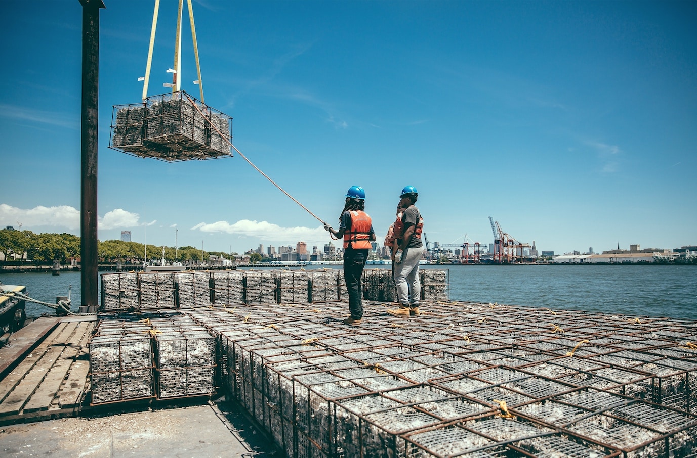 The Billion Oyster Project wants to restore New York Harbour’s oyster