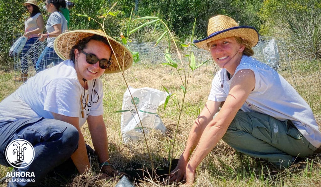 Analaura and Lucía plant bamboo