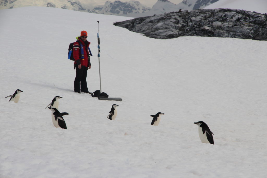 Penguinologist wearing a red jacket and orange beanie surrounded by penguins in the snow